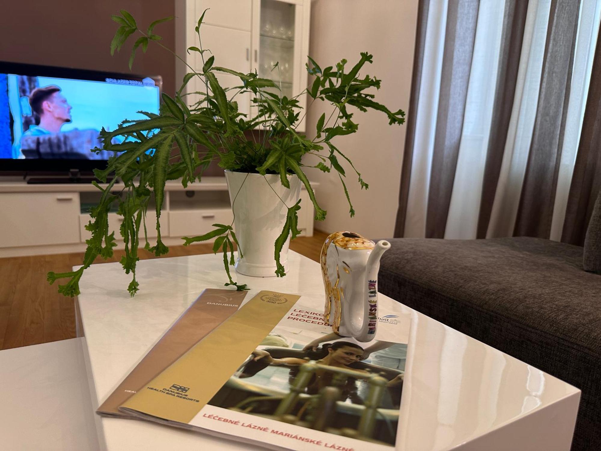 Marienbad Center Διαμέρισμα Εξωτερικό φωτογραφία